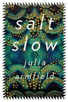 Cover of salt slow