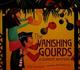 Cover of The vanishing gourds