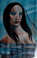 Cover of Still Water Saints