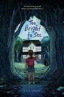 Cover of Too Bright to See