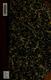 Cover of The Murders in the Rue Morgue