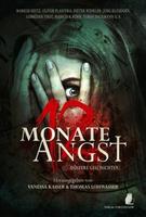 Cover of 12 Monate Angst