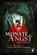 Cover of 12 Monate Angst