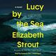 Cover of Lucy by the Sea