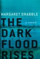 Cover of The dark flood rises