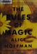 Cover of The Rules of Magic