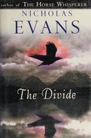 Cover of The divide