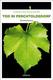 Cover of Tod in Perchtoldsdorf