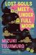 Cover of Lost Souls Meet under a Full Moon