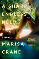 Cover of A Sharp Endless Need