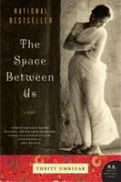 Cover of The Space Between Us
