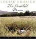 Cover of The Painted Drum CD