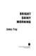 Cover of Bright shiny morning