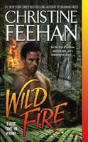 Cover of Wild Fire (Leopard)
