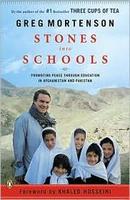 Cover of Stones into schools