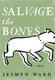 Cover of Salvage the Bones