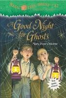Cover of A good night for ghosts