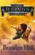 Cover of Sky Raiders