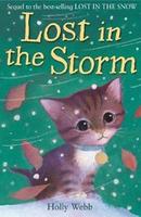 Cover of Lost in the Storm