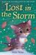Cover of Lost in the Storm