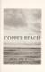 Cover of Copper Beach