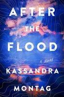 Cover of After the Flood