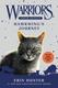 Cover of Hawkwing's Journey