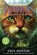 Cover of Darkness Within