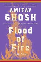 Cover of Flood of fire