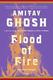 Cover of Flood of fire